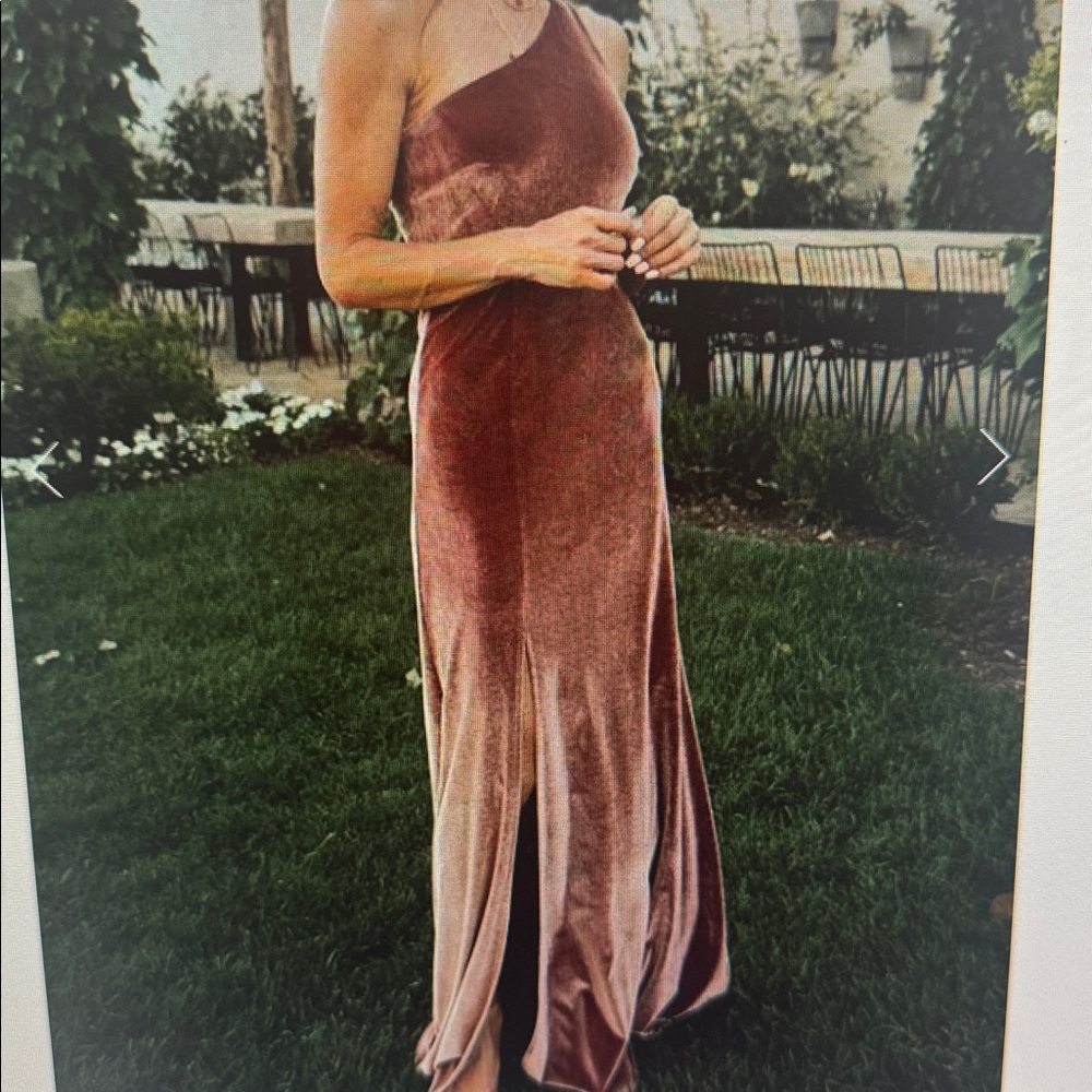 Baltic Born Strapless Blush Velvet Dress